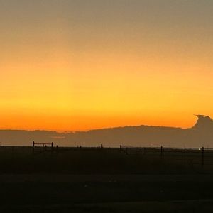 Meet your Posher, Randi joe